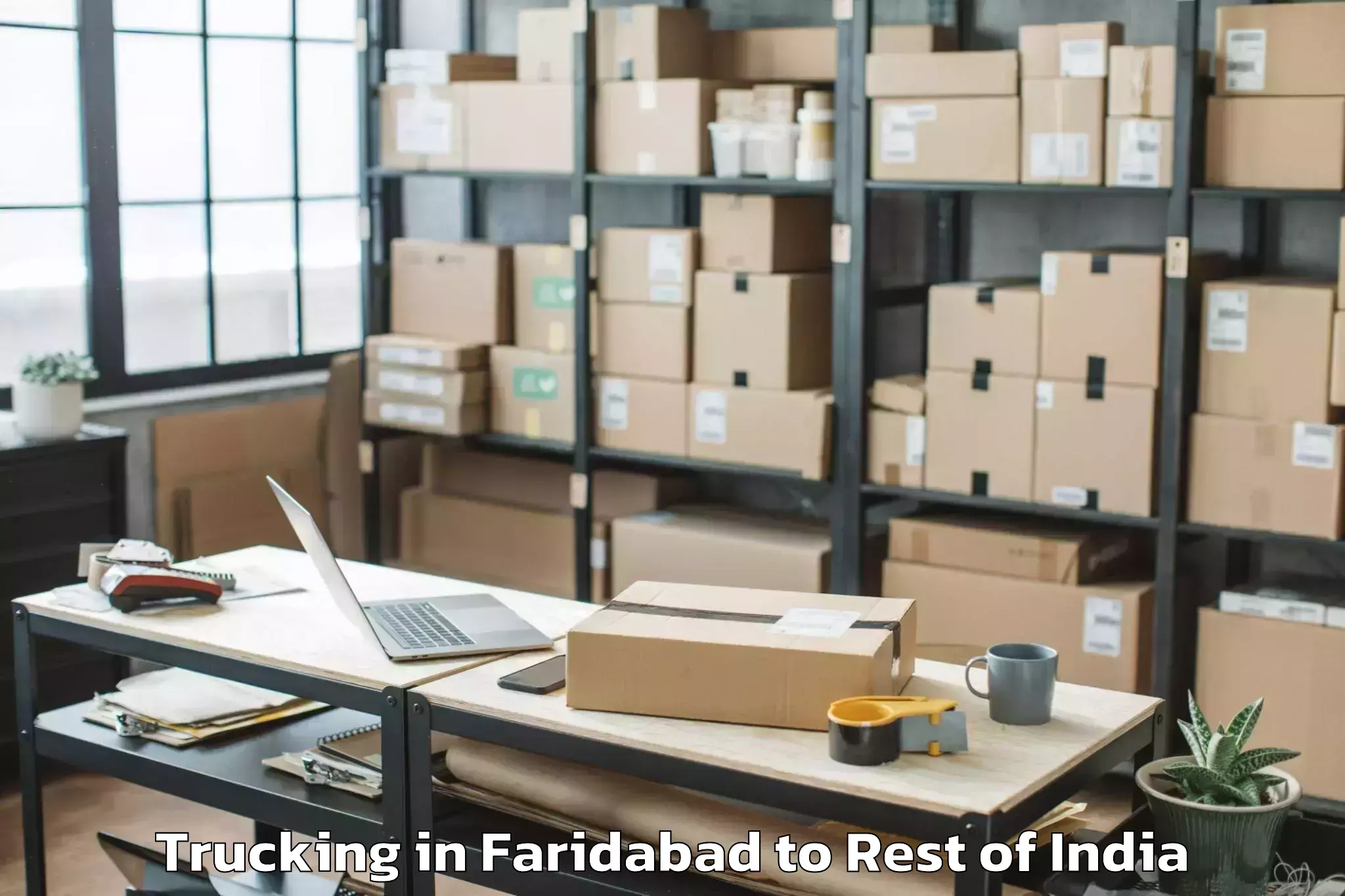 Professional Faridabad to Tekulapally Trucking